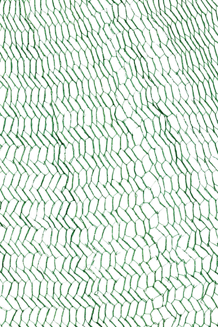 GÄRTNERGLÜCK Vogelschutznetz Basic